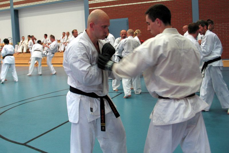 Sensei Jiri Potys