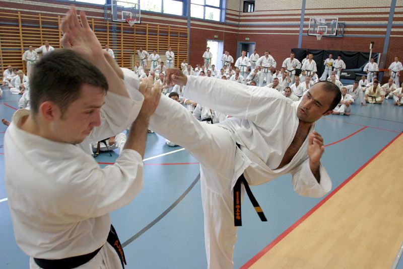 Jodan-mawashi-geri