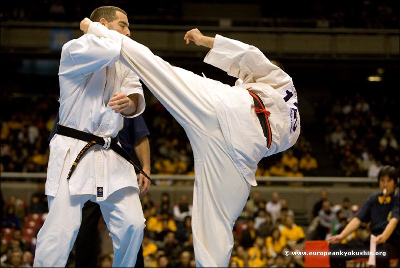 århundrede overdrive Unravel The 9th World Open Karate Tournament<br><font size=-1>Tokyo, 16-18 November  2007<br> (41 of 50)</font>