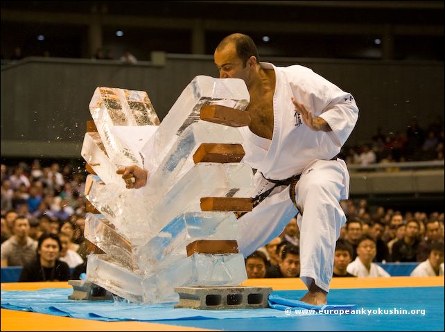 Trives animation Grader celsius The 9th World Open Karate Tournament<br><font size=-1>Tokyo, 16-18 November  2007<br> (5 of 30)</font>