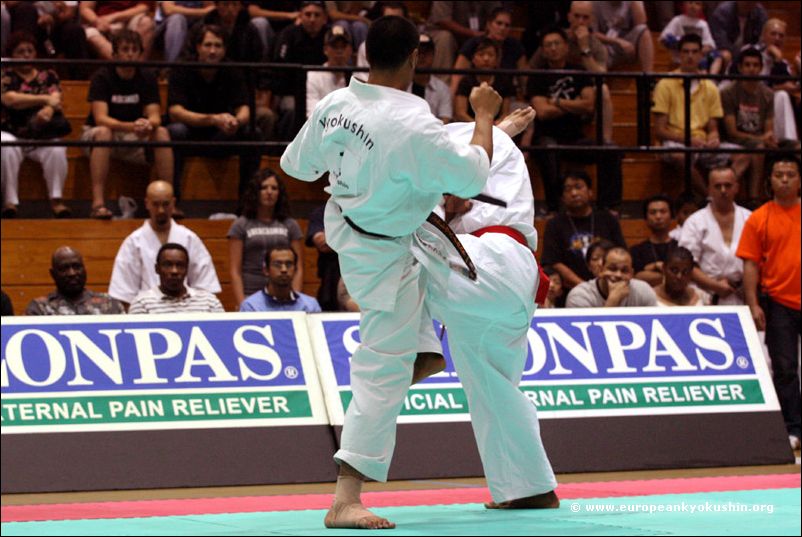 Andrews Nakahara (Brazil)<br>kakato-otoshi-geri