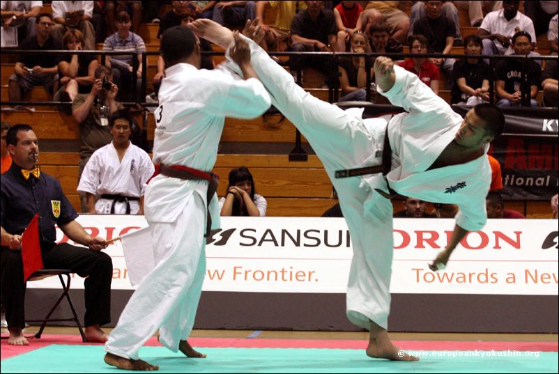 Andrews Nakahara (Brazil)<br>jodan-mawashi-geri