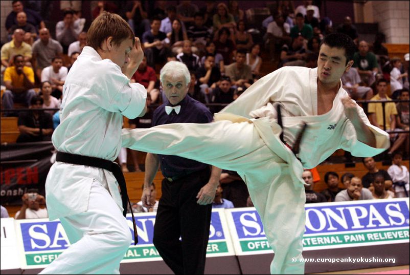 Eduardo Tanaka (Brazil)<br>chudan-mawashi-geri