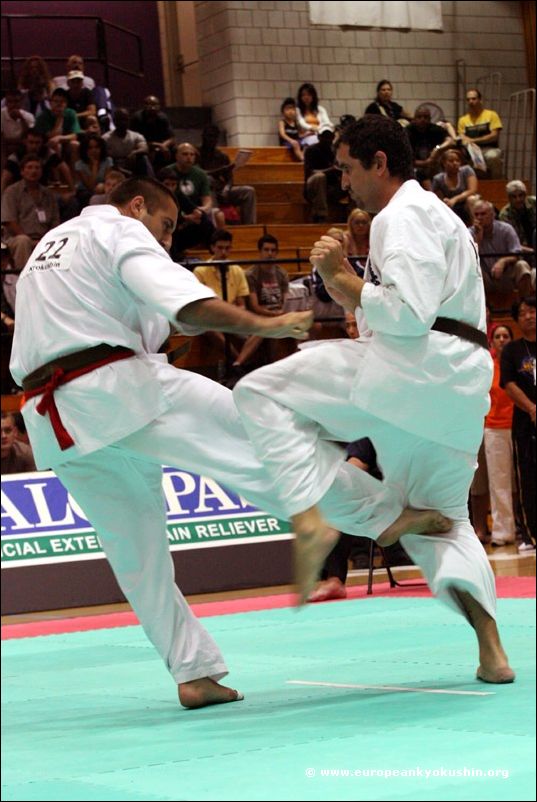 (Bulgaria)<br>gedan-mawashi-geri