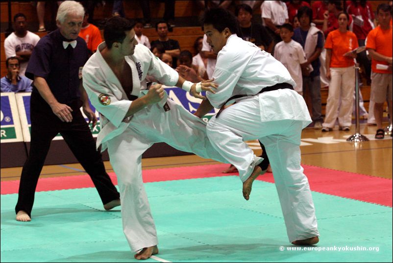 (Brazil)<br>gedan-mawashi-geri