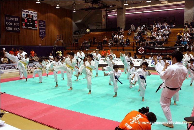 New York Dojo<br>Kids demonstration