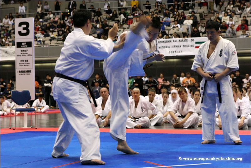 Yoshiaki Uchida<br>ushiro-mawashi-geri