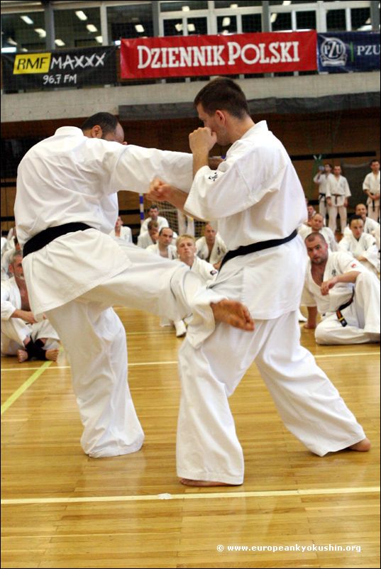 gedan-mawashi-geri