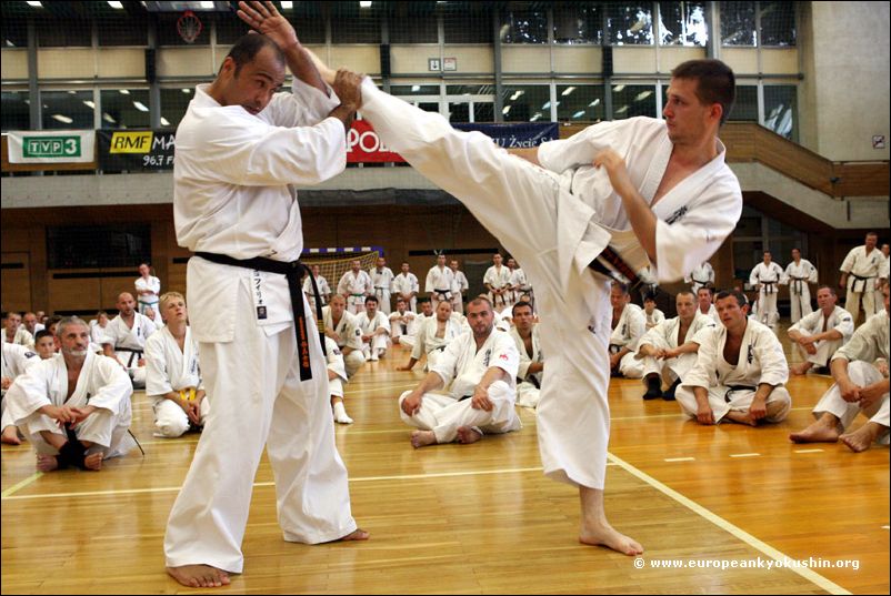 Defense against:<br>jodan-mawashi-geri