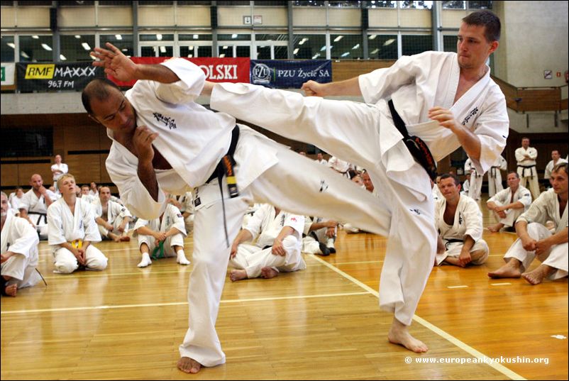 Defense against:<br>jodan-mawashi-geri