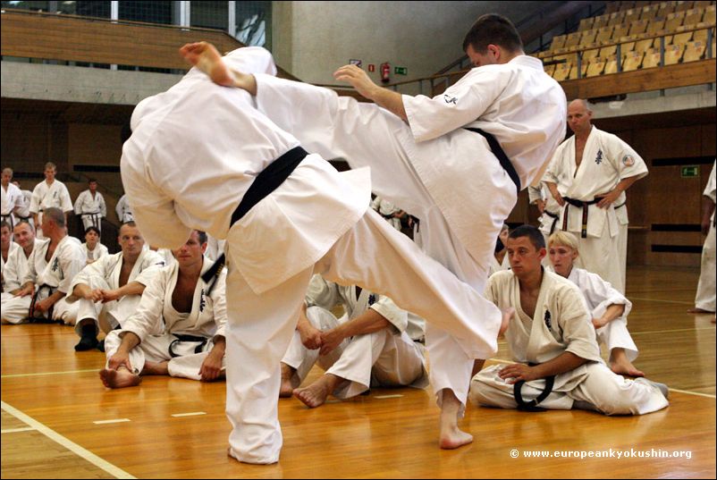 Defense against:<br>jodan-mawashi-geri