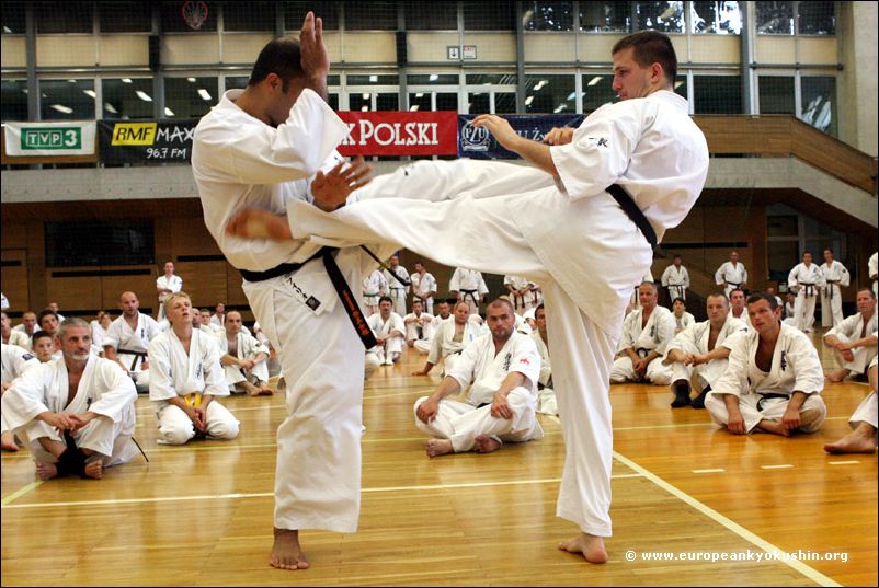 Defense against:<br>chudan-mawashi-geri