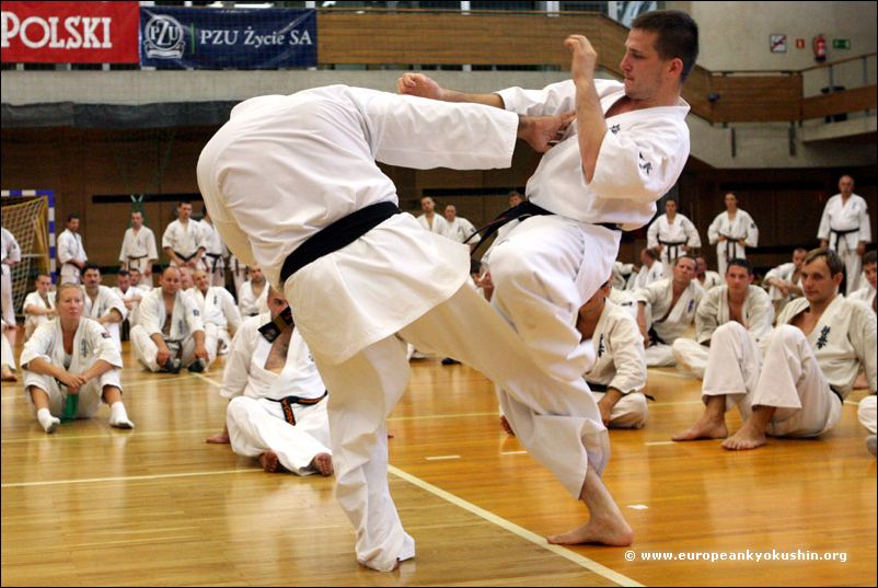 gedan-mawashi-geri<br>to opponent's back leg