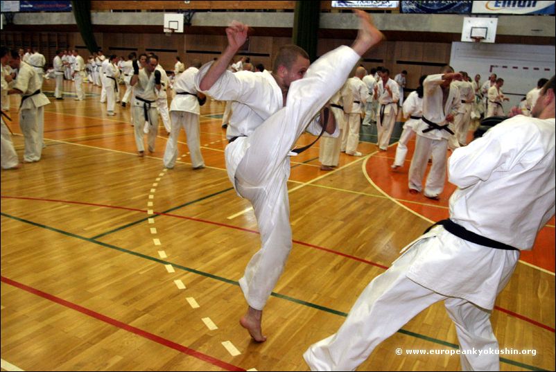 Kakato-otoshi-geri