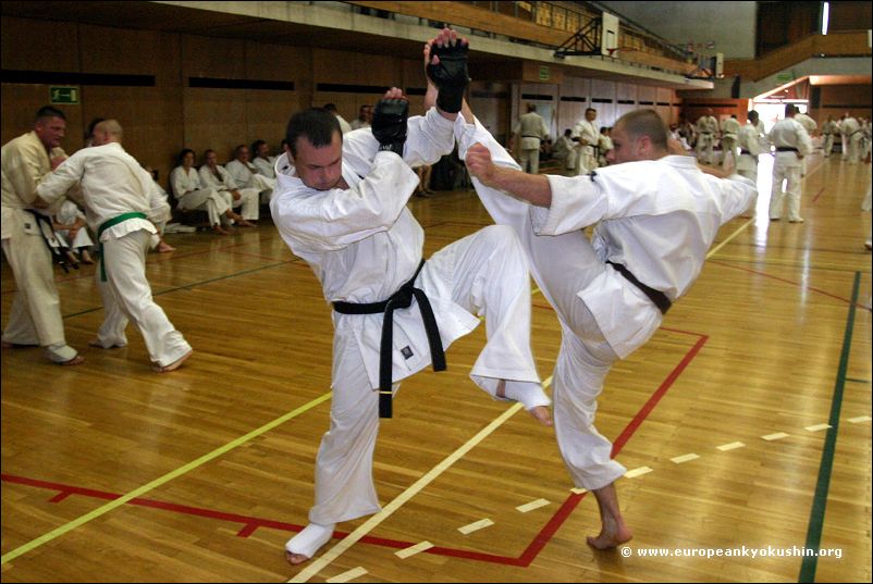 Kakato-otoshi-geri