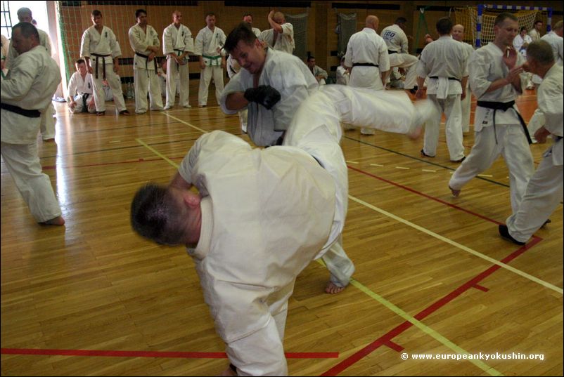 Tobi-ushiro-mawashi-geri