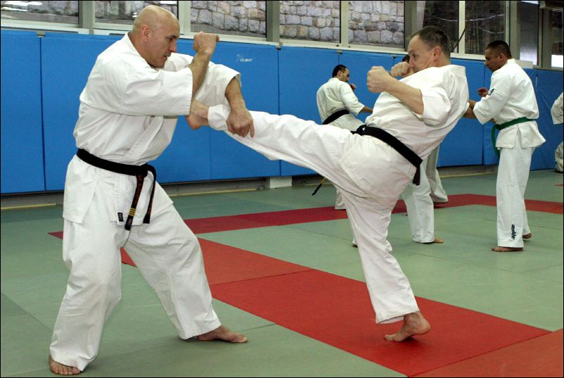 Sensei Dadzibug vs<br>Shihan Drewniak