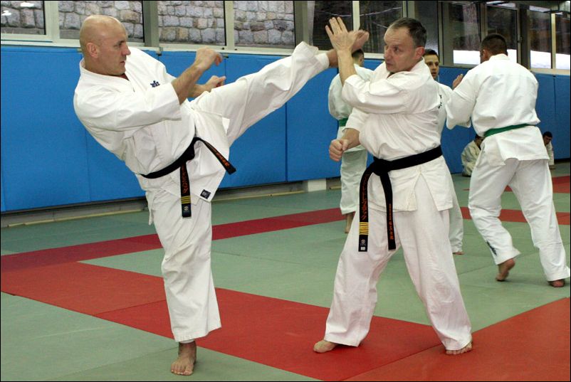 Sensei Dadzibug vs<br>Shihan Drewniak