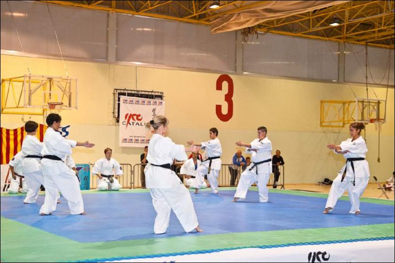 Kata demonstration