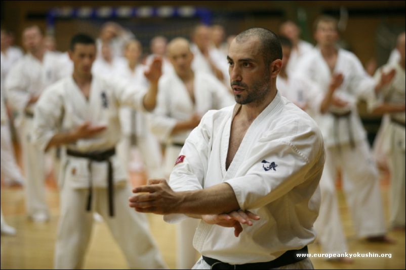 Sensei Artur Hovhannisian