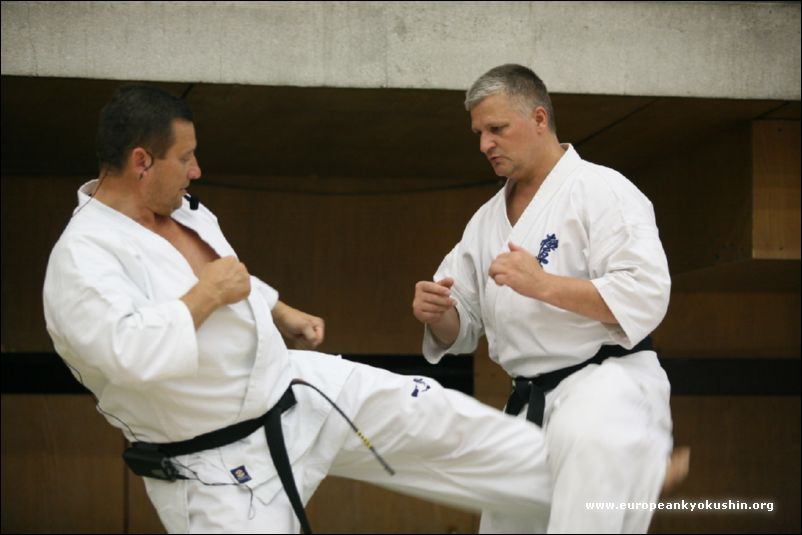 Training by<br>Shihan W. Roj