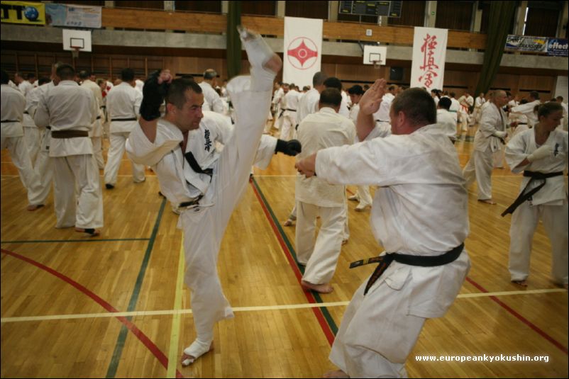 kakato-otoshi-geri