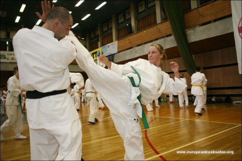 jodan-mawashi-geri