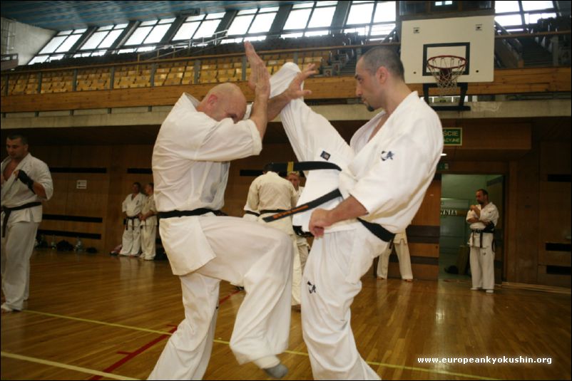 kakato-otoshi-geri