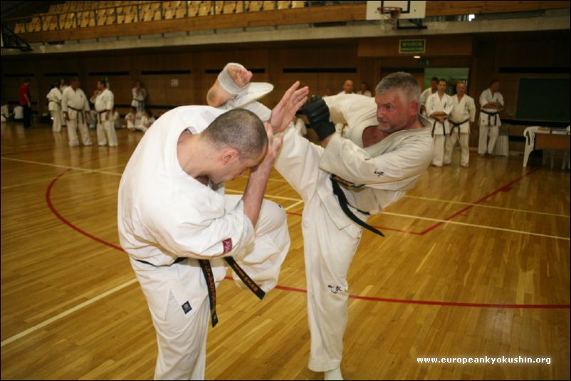 jodan-mawashi-geri