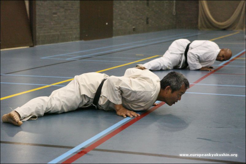 Shihan Tsutomu Wakiuchi