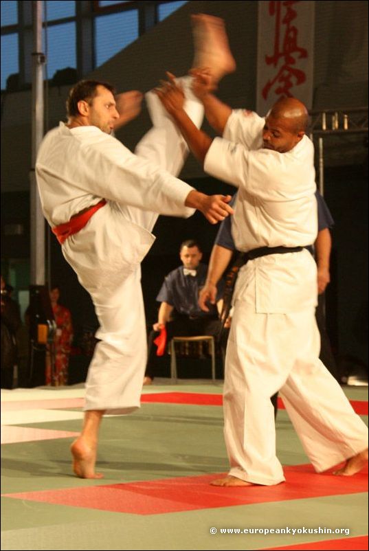 Ogonowski:<br>kakato-otoshi-geri