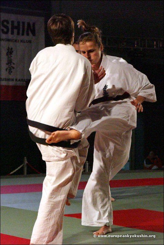 Zjawinska:<br>gedan-mawashi-geri