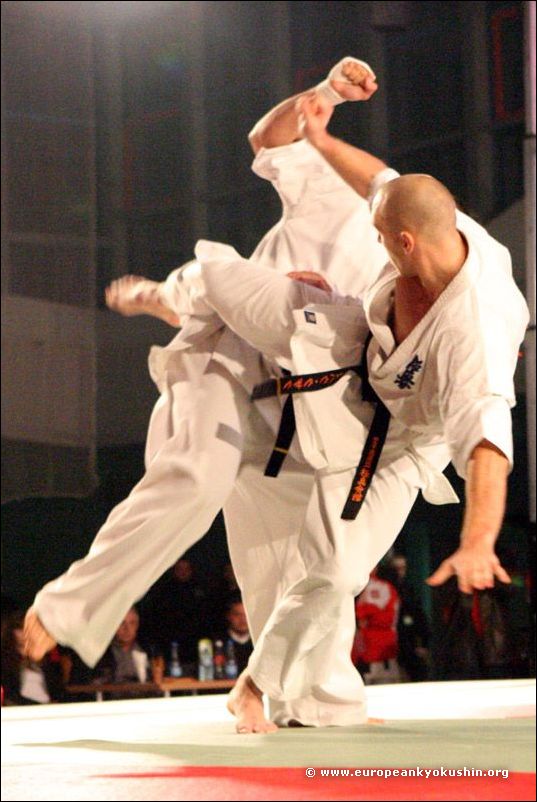 Krzak:<br>ushiro-mawashi-geri