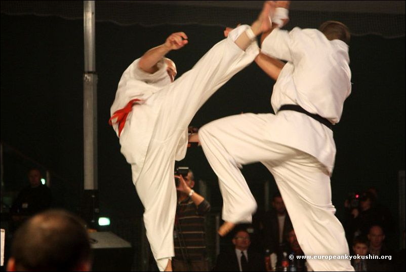 Krzak:<br>jodan-mawashi-geri