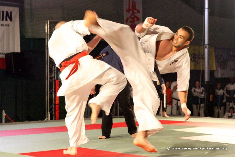 Belkhodja:<br>ushiro-mawashi-geri